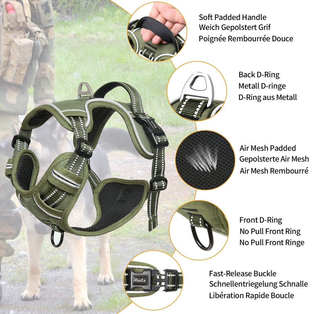HEELE dog harness demonstrates no-pull design reducing neck strain during walks