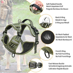 HEELE dog harness demonstrates no-pull design reducing neck strain during walks