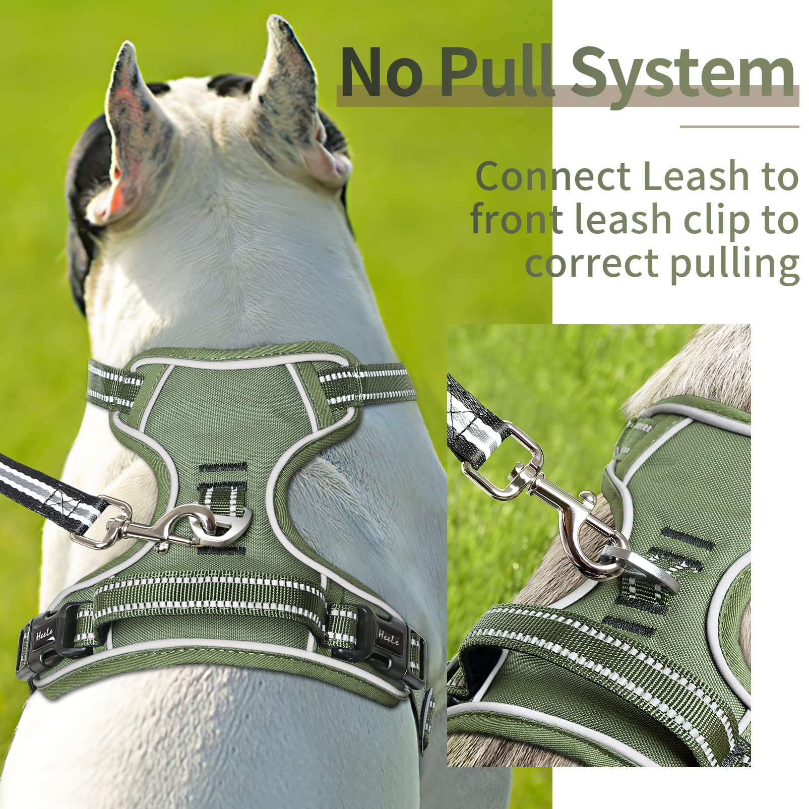 HEELE dog harness features padded chest and belly for comfortable outdoor wear