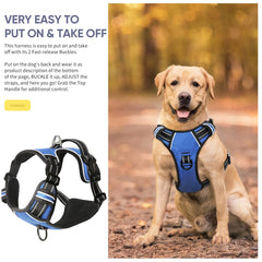 HEELE padded chest area keeps dogs comfortable during outdoor activities