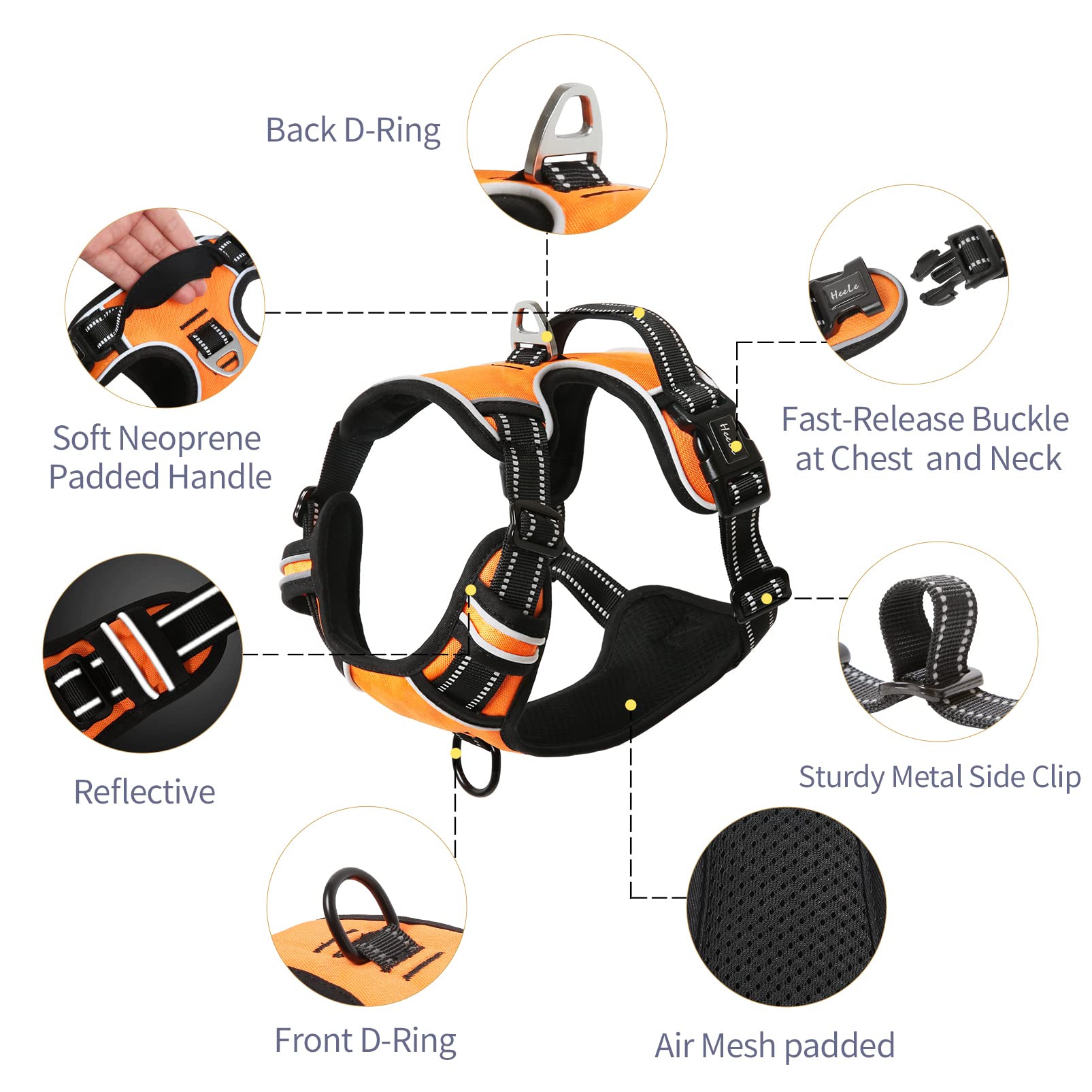 HEELE dog harness with reflective strips enables safer night walks
