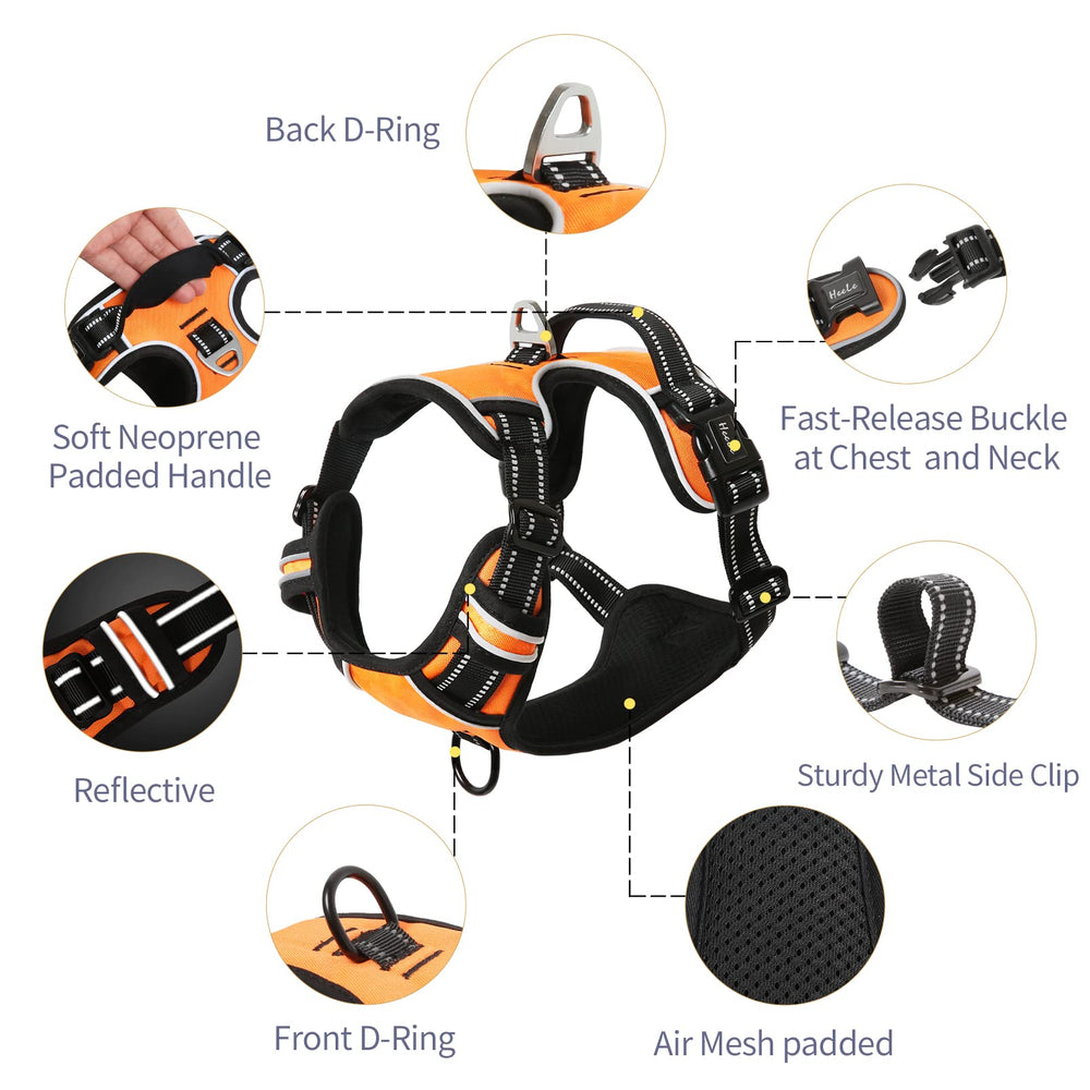HEELE dog harness with reflective strips enables safer night walks
