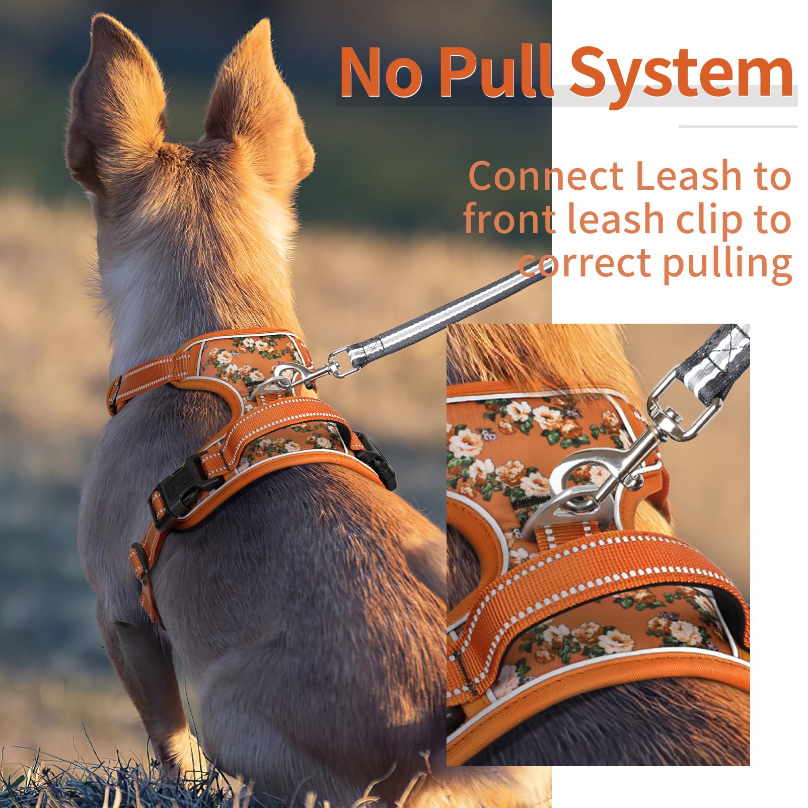HEELE dog harness reflective strips at night promote safer evening walks