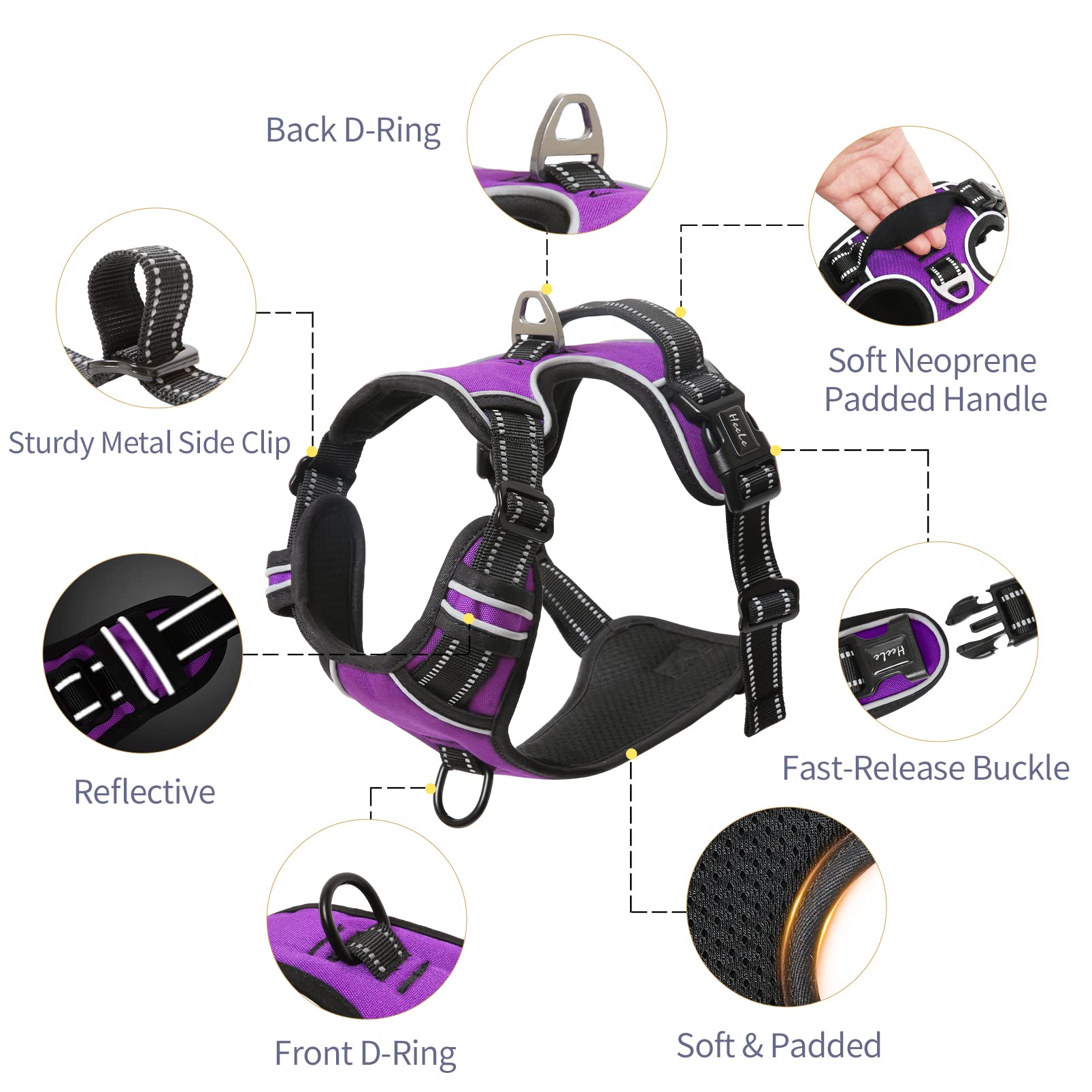 HEELE dog harness with reflective strips enhances safety on night walks.