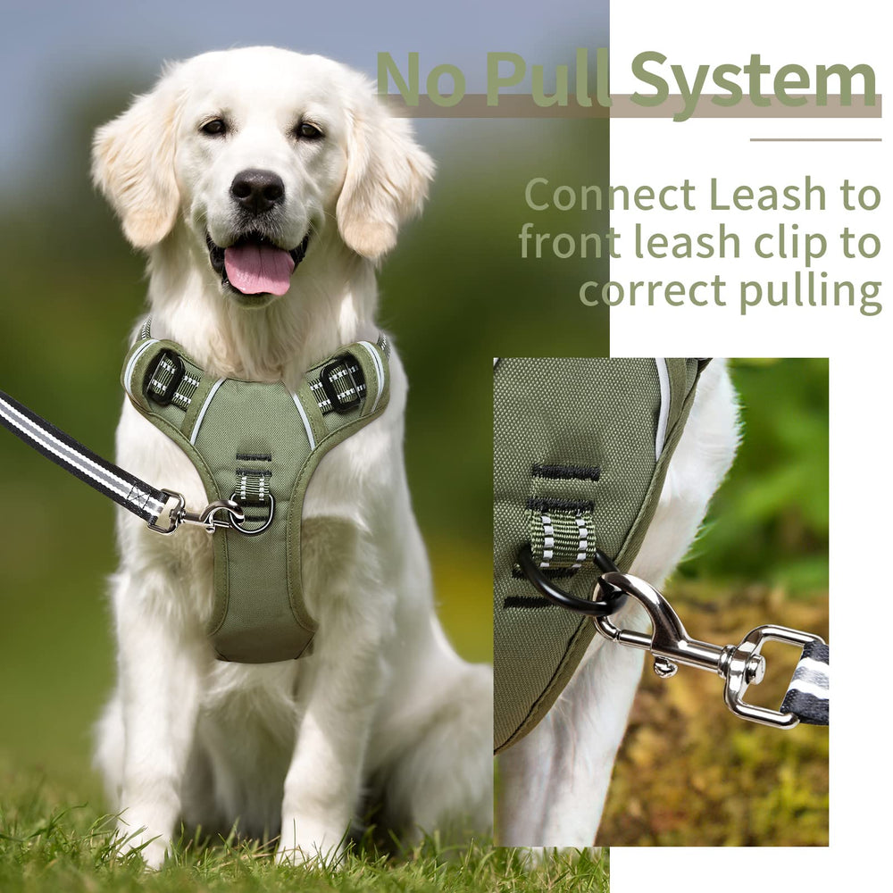 HEELE dog harness with reflective strips improves visibility on evening strolls