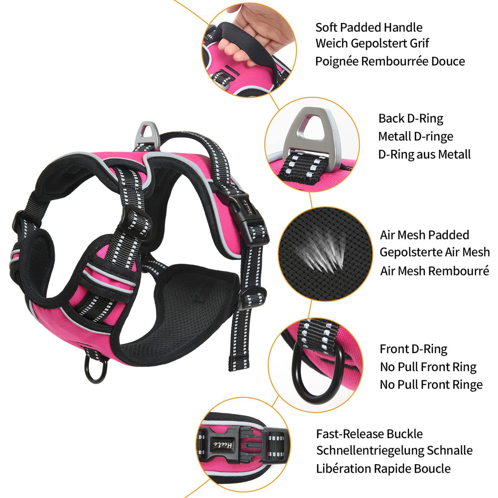 HEELE dog harness Rose M chest strap demonstrates anti-pull setup for training