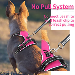 HEELE dog harness Rose M padded shoulders provide comfortable wear