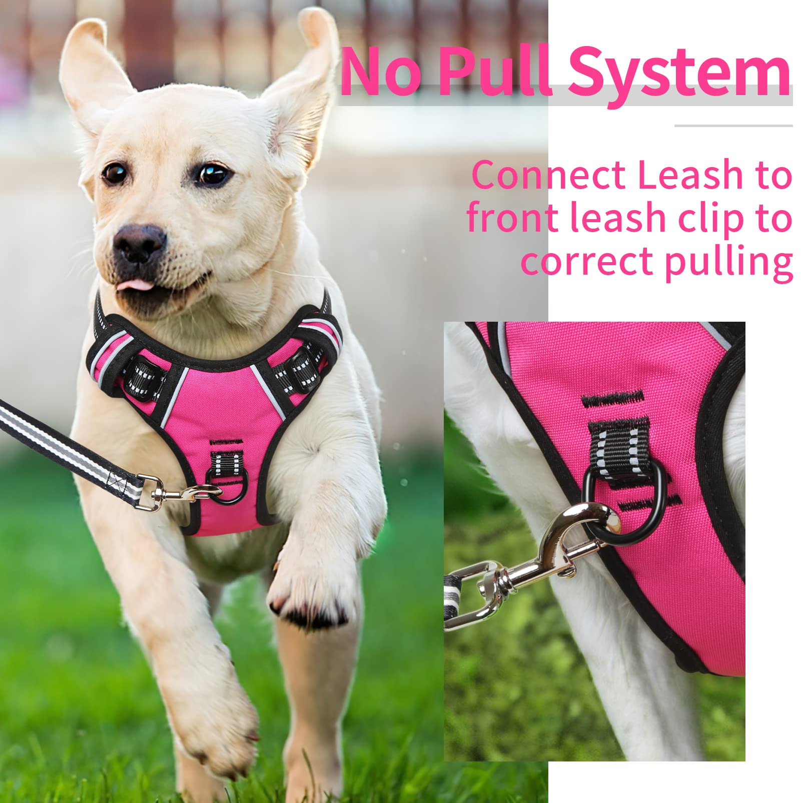 HEELE dog harness rose XL size guide view for proper fit