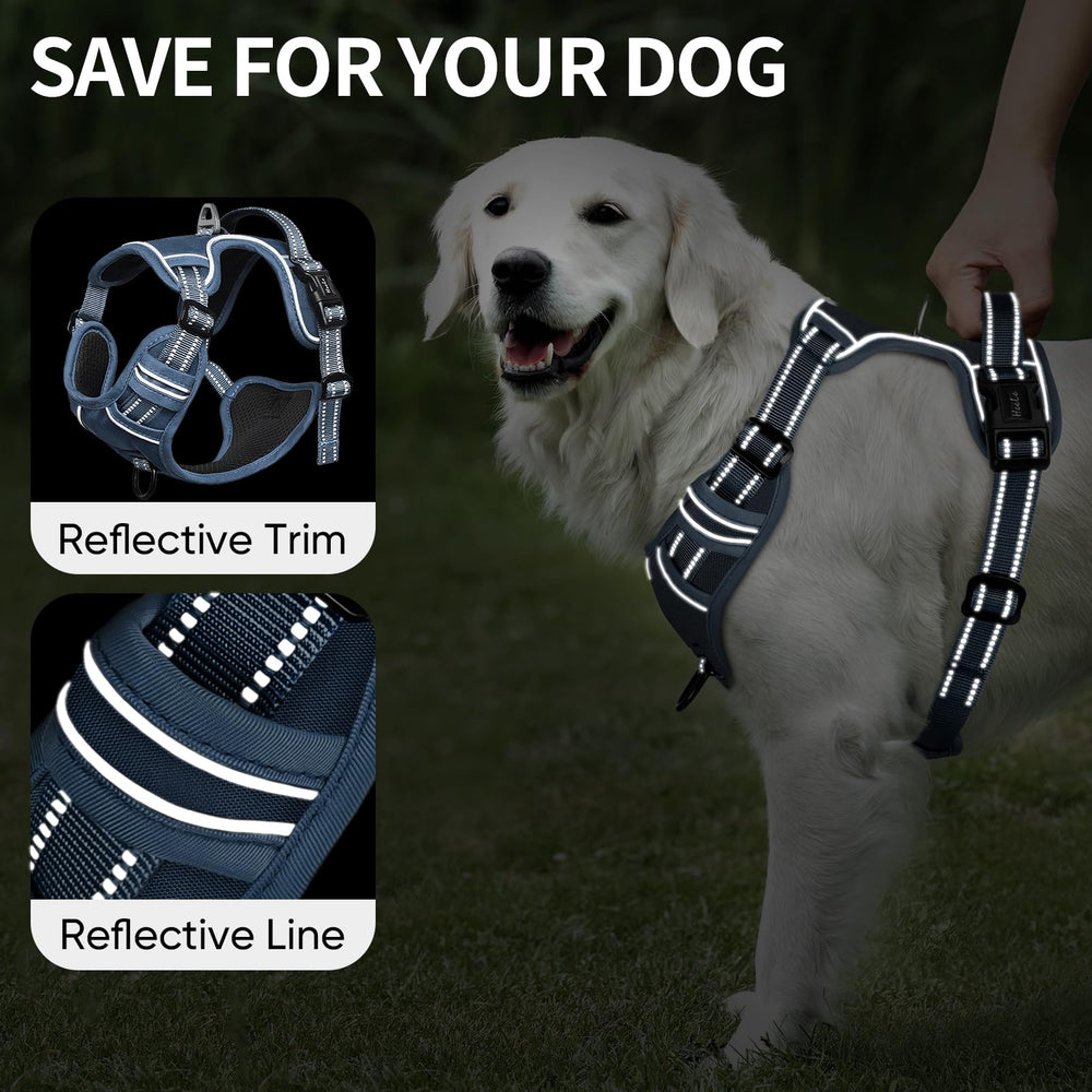 HEELE breathable nylon mesh lining keeps dogs cool during activity.