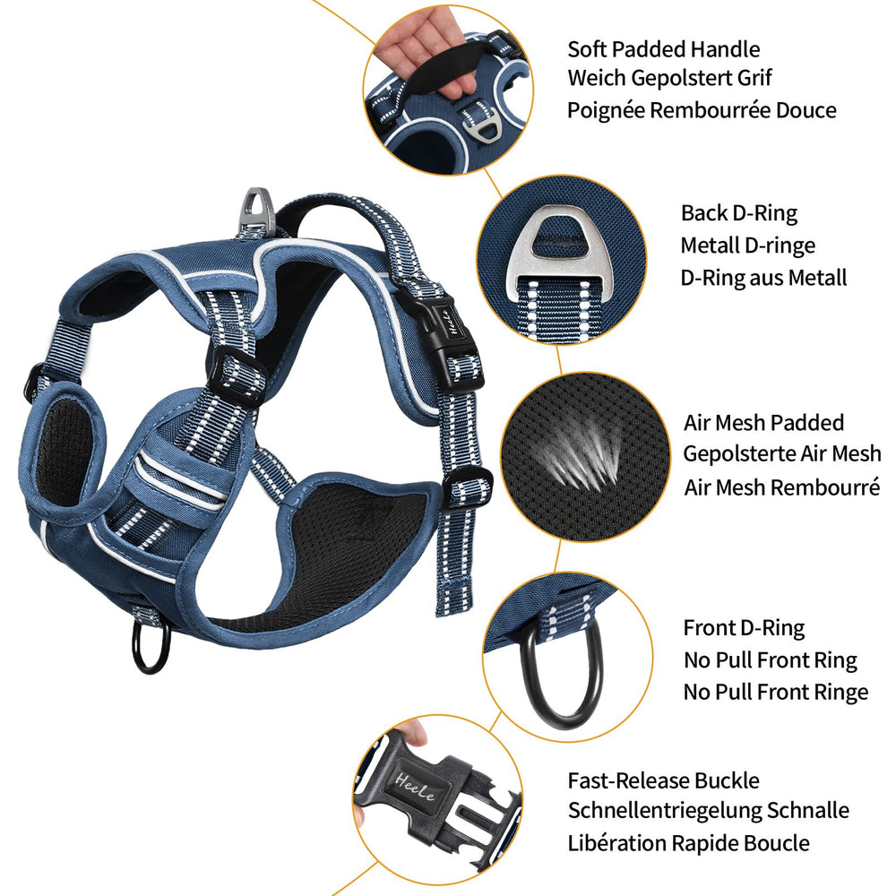 HEELE no-pull chest-back rings harness for comfortable, controlled outdoor training.