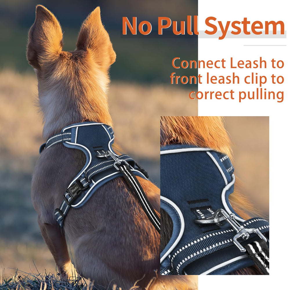 HEELE reflective-strips improve visibility during dusk walks and car rides.