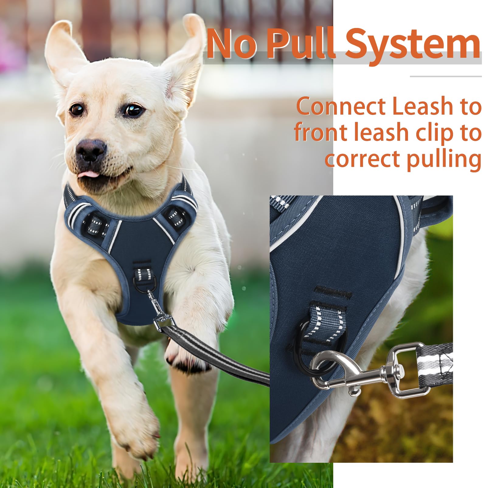 HEELE soft-padded harness highlights breathable materials and skin-friendly comfort.