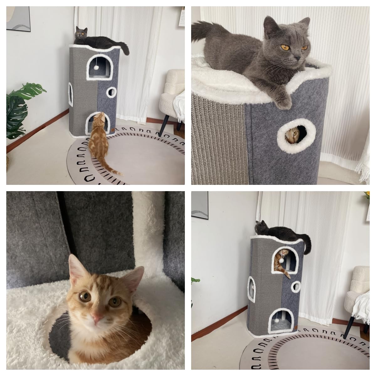 Heerduos multi-cat haven with hideaways for resting and observing