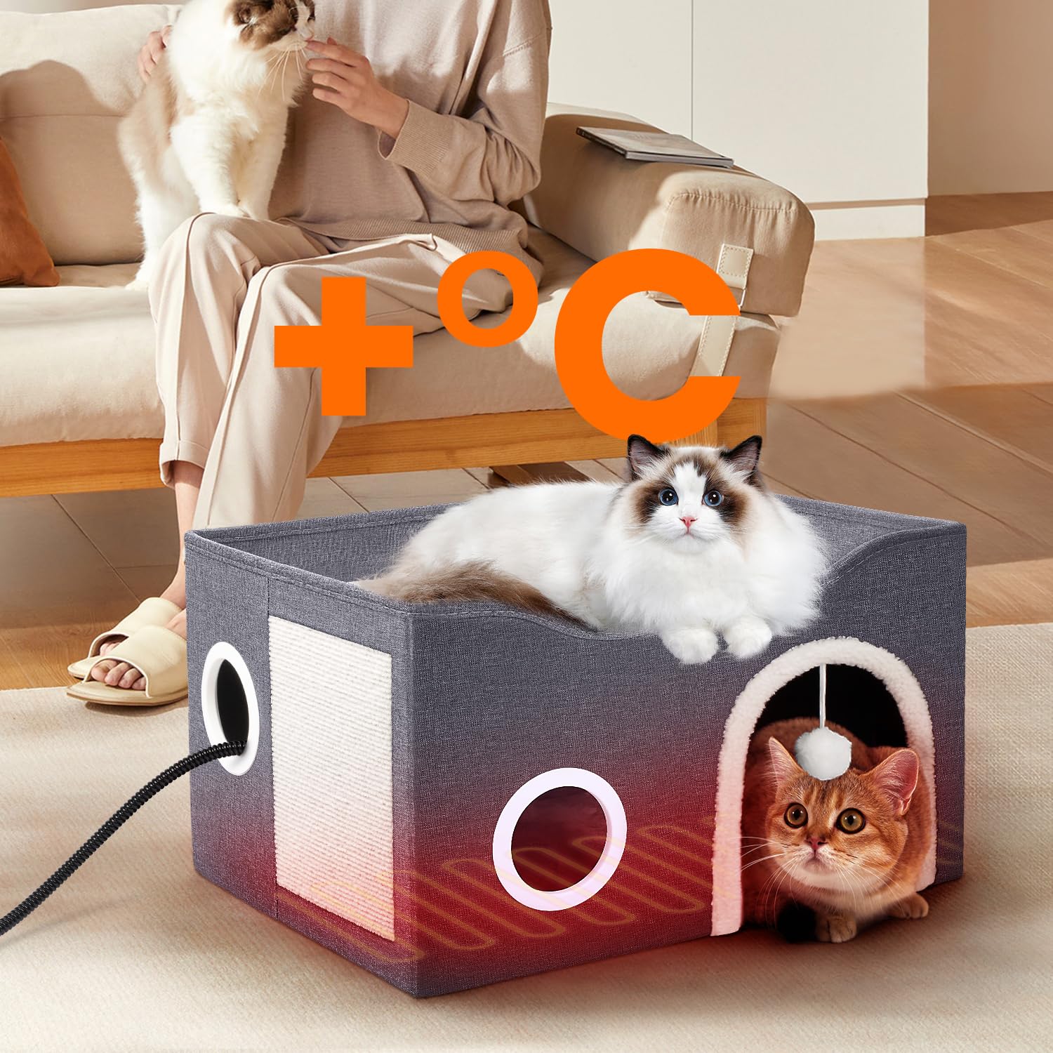 Heeyoo chew-resistant cord closeup ensures safer exploration for curious kittens