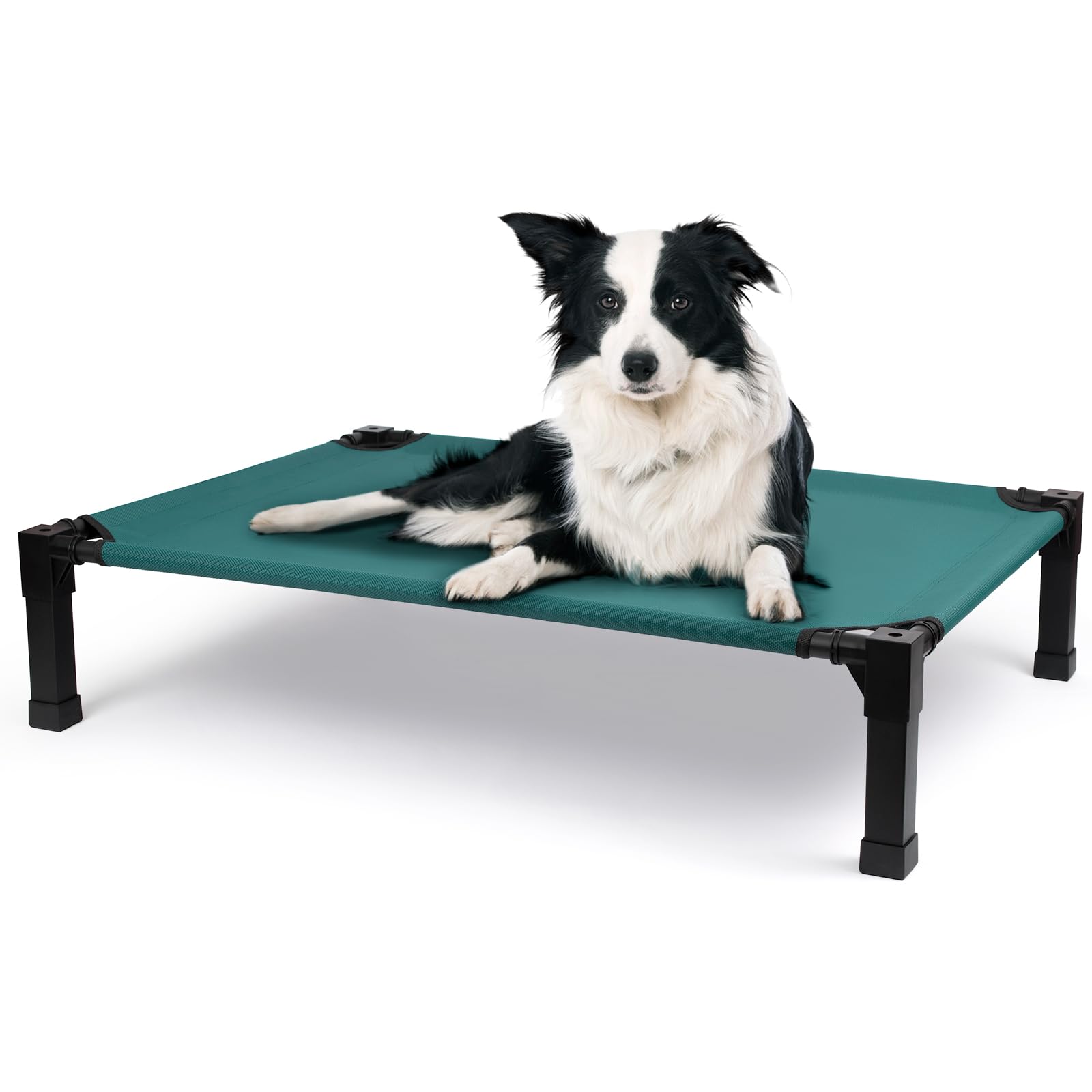 Heeyoo cooling elevated dog bed wide shot highlighting indoor and outdoor portability