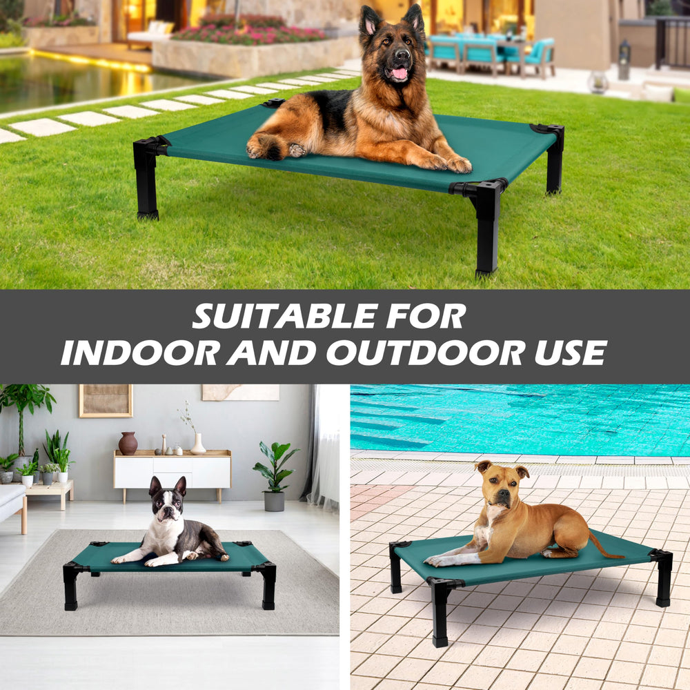 Heeyoo dog on bed in living room showcasing versatile use