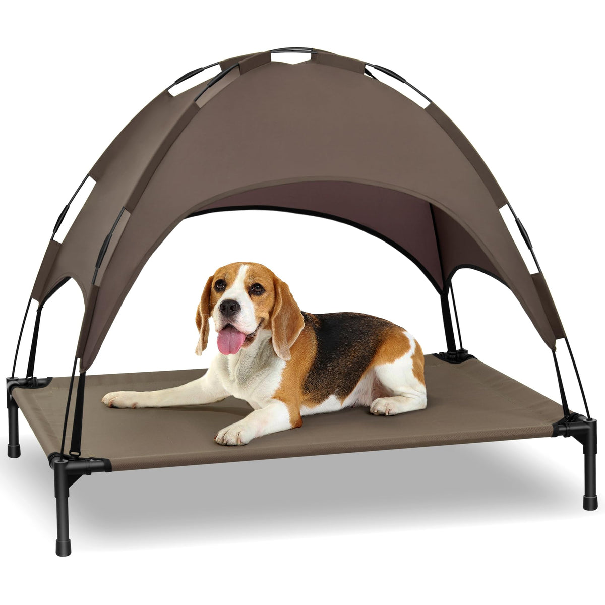 Heeyoo elevated dog bed with canopy demonstrates tool-free assembly for quick setup.