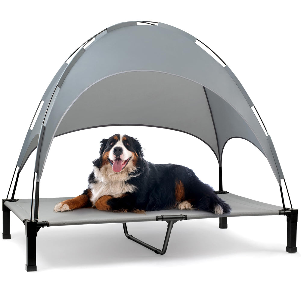 Heeyoo elevated dog bed with canopy offers cooling shade for sunny outdoor sessions.
