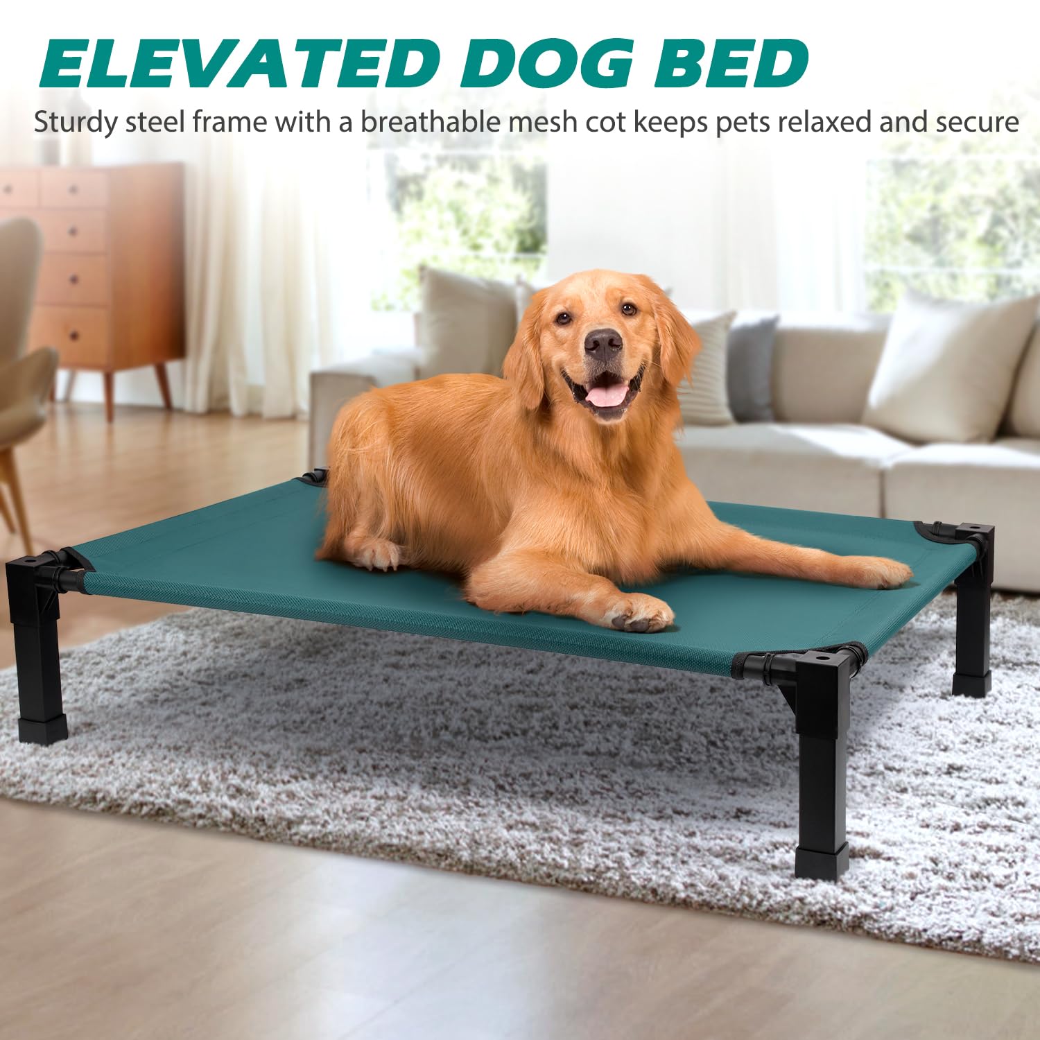 Heeyoo indoor comfort scene emphasizes elevated support for dogs indoors
