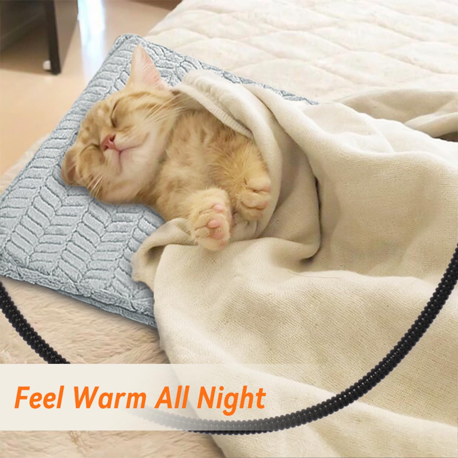 Heeyoo Pet Heating Pad whelping-box use proves comforting warmth for newborns and kittens.