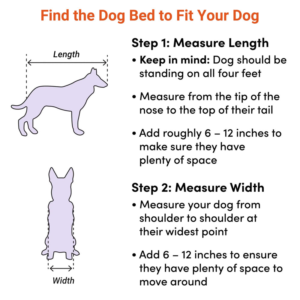 Heeyoo strong frame supports pets up to 100 pounds for sturdy support.