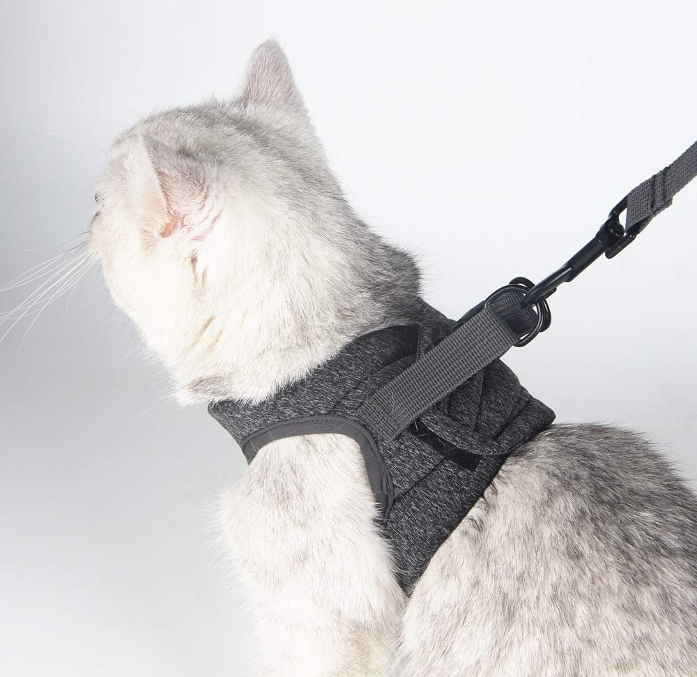 HEYWEAN cat-harness-size-chart displaying chest measurements for proper fit.