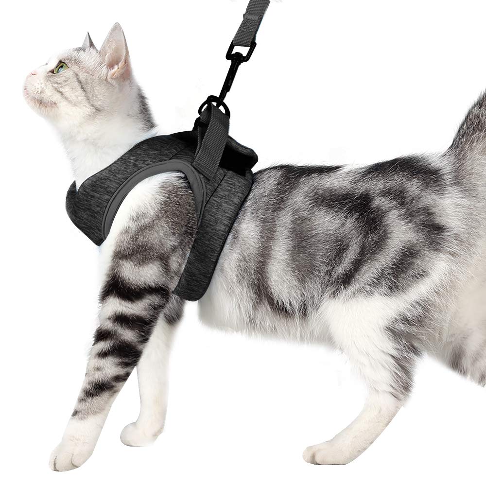HEYWEAN cat-harness-ultra-light worn by cat for comfortable daily strolls.
