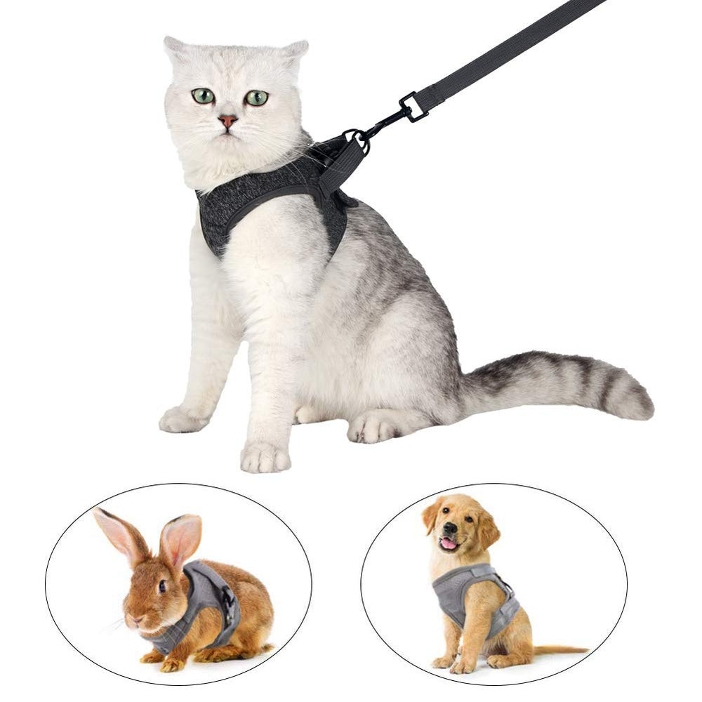 HEYWEAN leash-running-cushioning close-up on a lightweight leash for active walks.