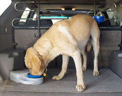 Heininger PortablePET WaterBoy carry handle enables easy on-the-go transport and refills