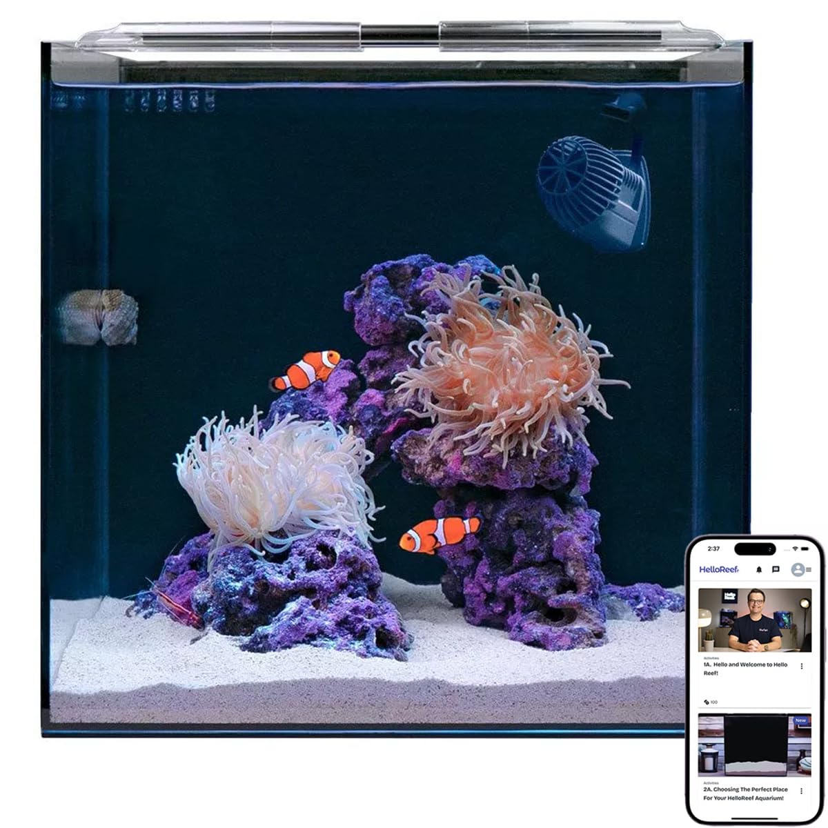 HelloReef 15gal beginner clownfish kit front view for easy reef setup and viewing