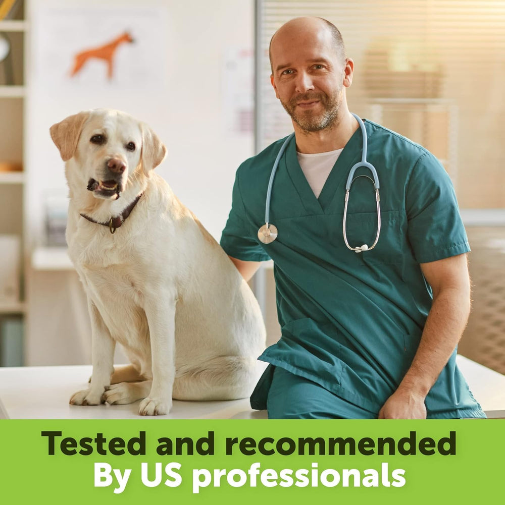 Helopssa immune-support pets visual emphasizes overall vitality and resilience.