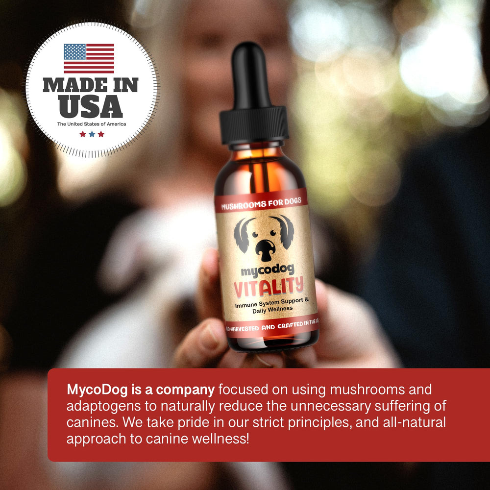 Hemp Dog Health MycoDog Vitality packaging promoting daily dog wellness.