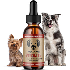 Hemp Dog Health MycoDog Vitality bottle closeup for daily immune support.