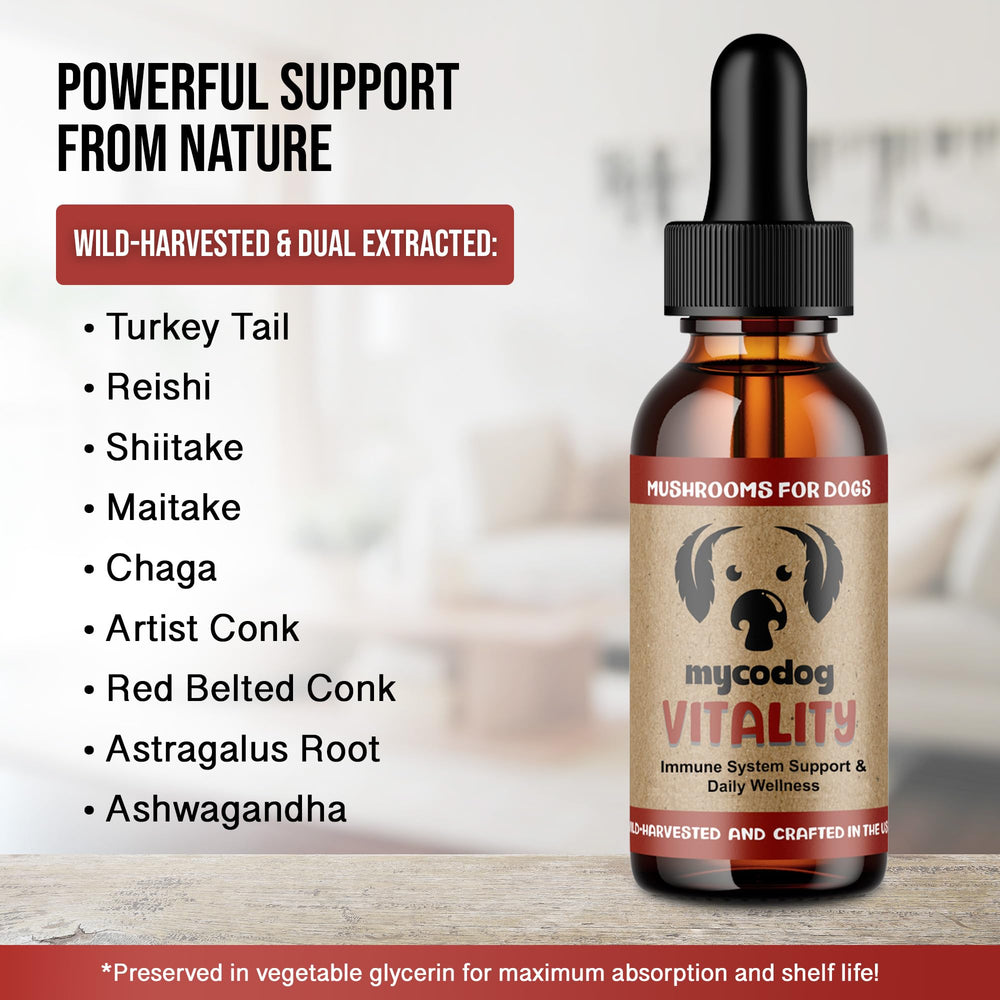 Hemp Dog Health Reishi mushroom element in MycoDog Vitality supplement.