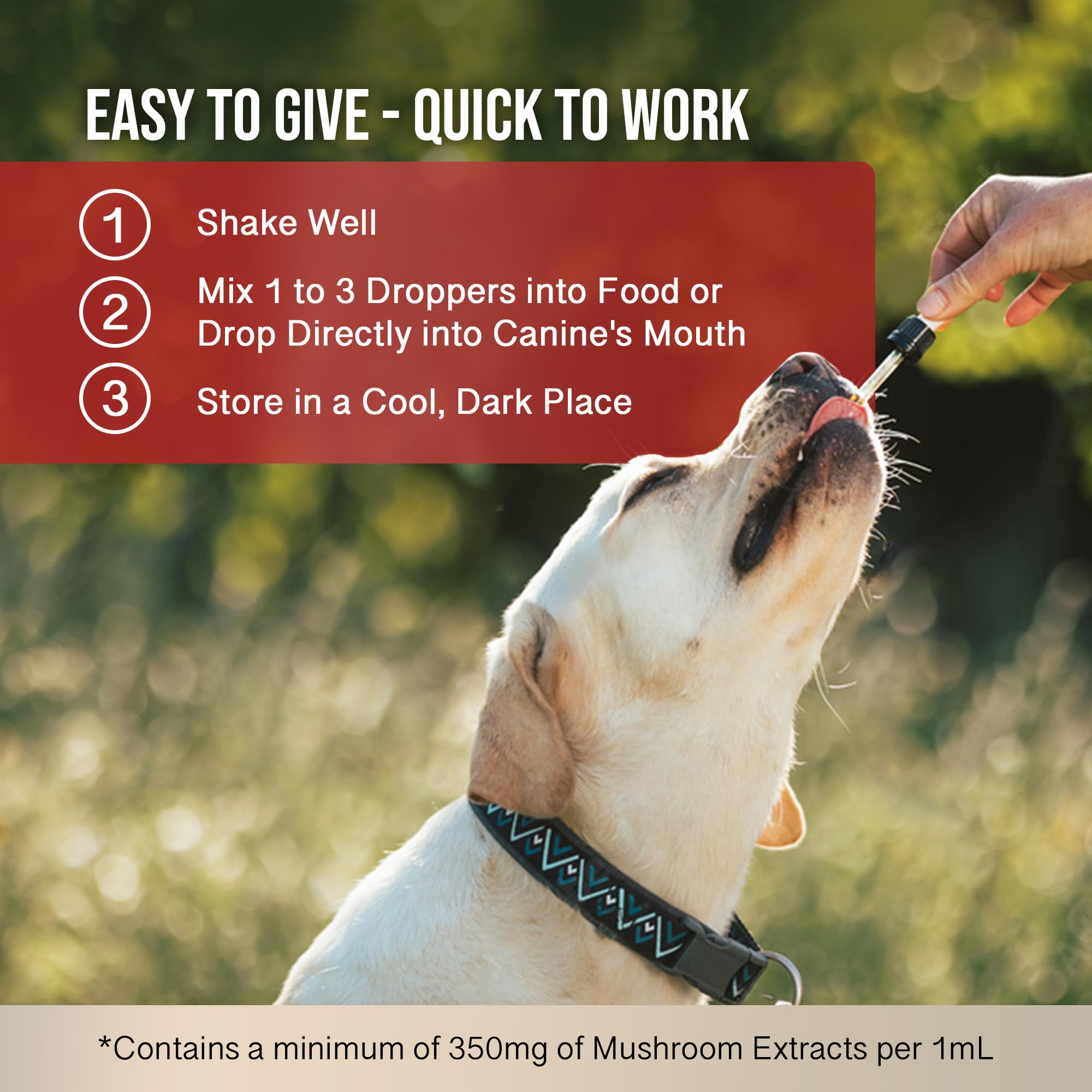 Hemp Dog Health USA-made label on MycoDog Vitality packaging.