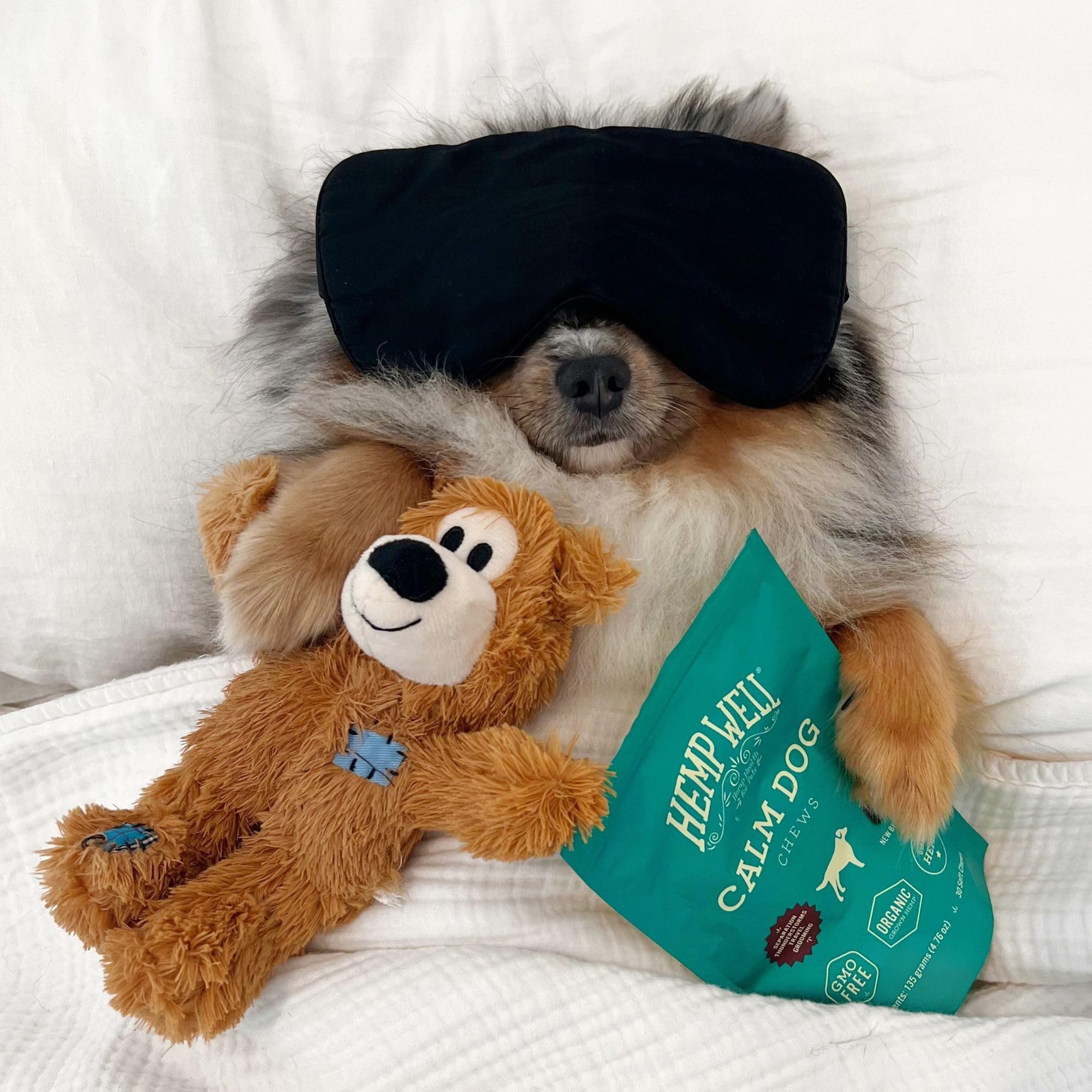 Hemp Well Calm Dog Soft Chews dog relaxing portrait suggests stress relief.
