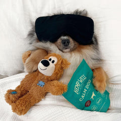 Hemp Well Calm Dog Soft Chews dog relaxing portrait suggests stress relief.