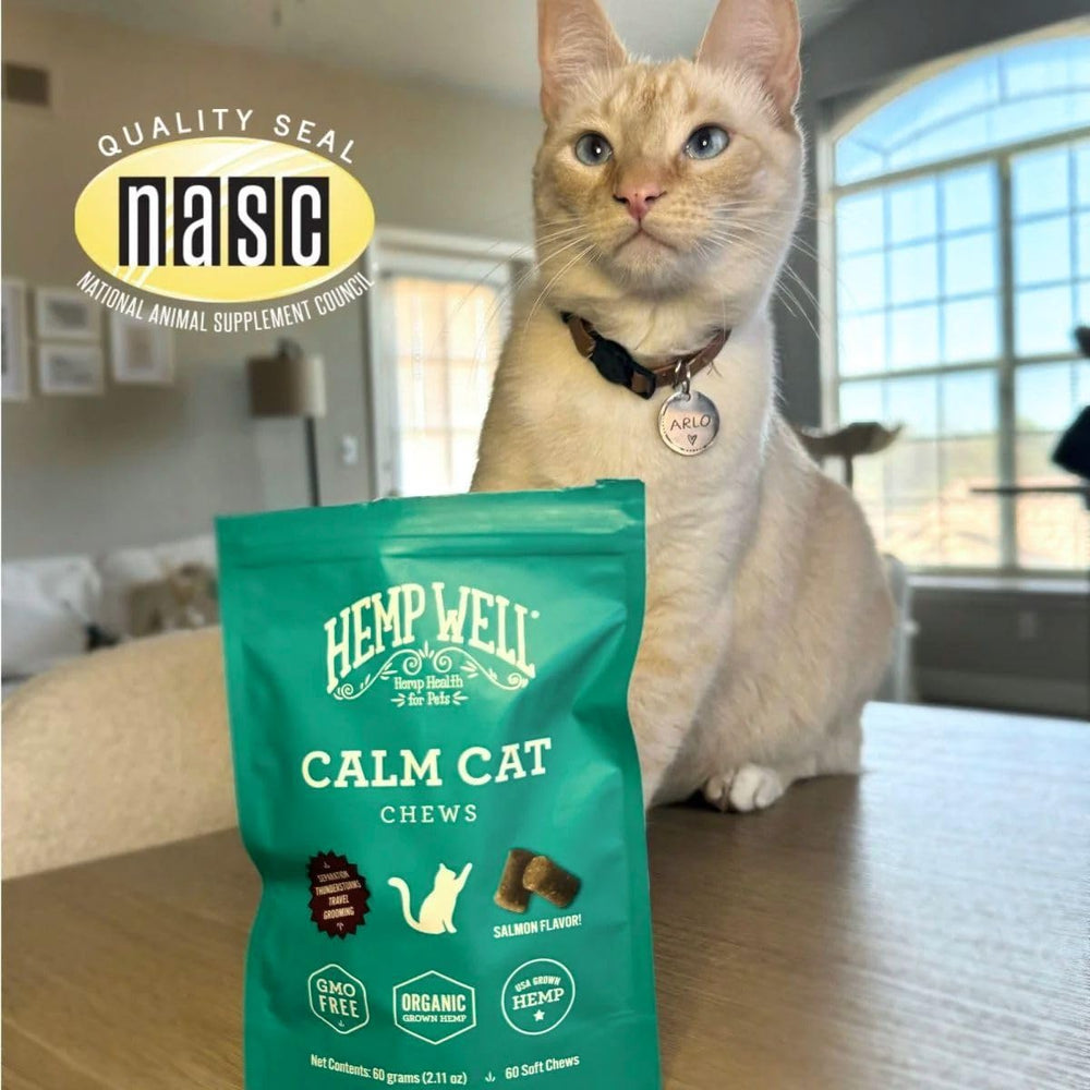 Uso diario con Hemp Well Calm Cat para felinos activos