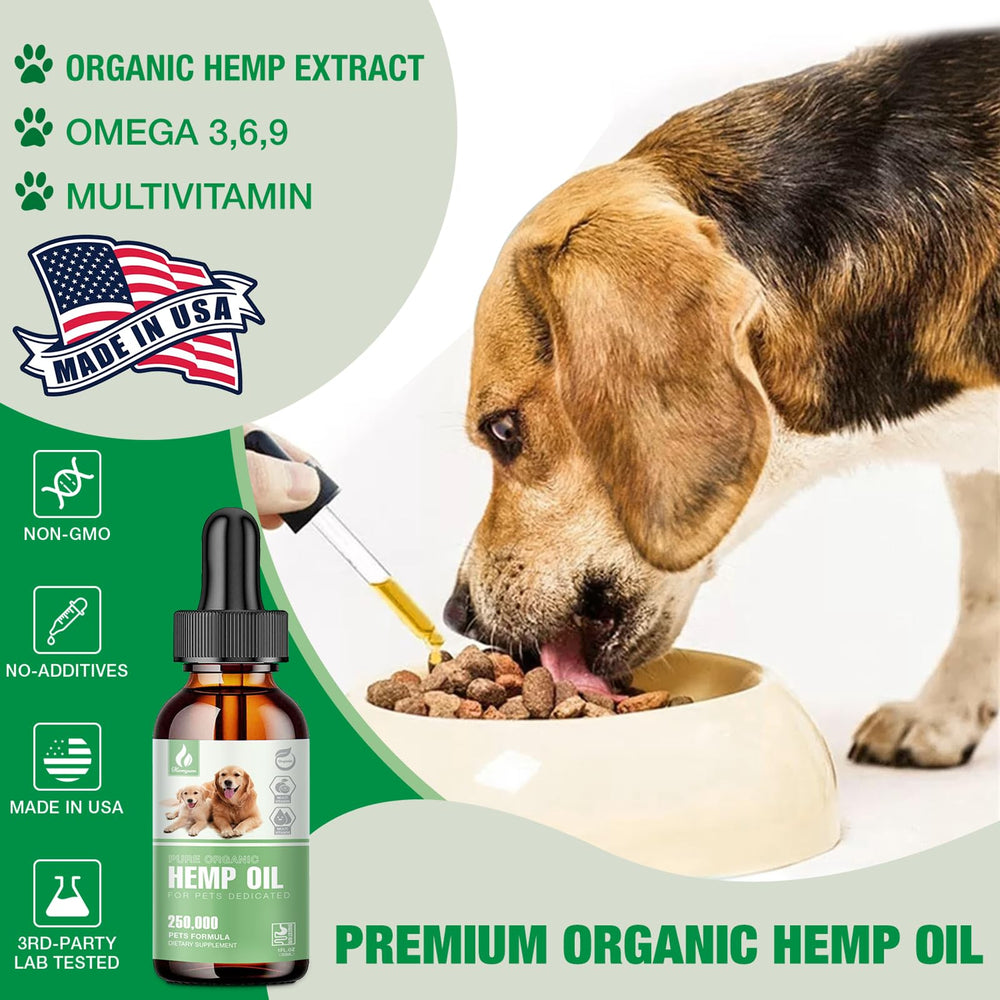 Hemyum Pet Hemp Oil cat serving illustrating simple addition to meals for mood balance