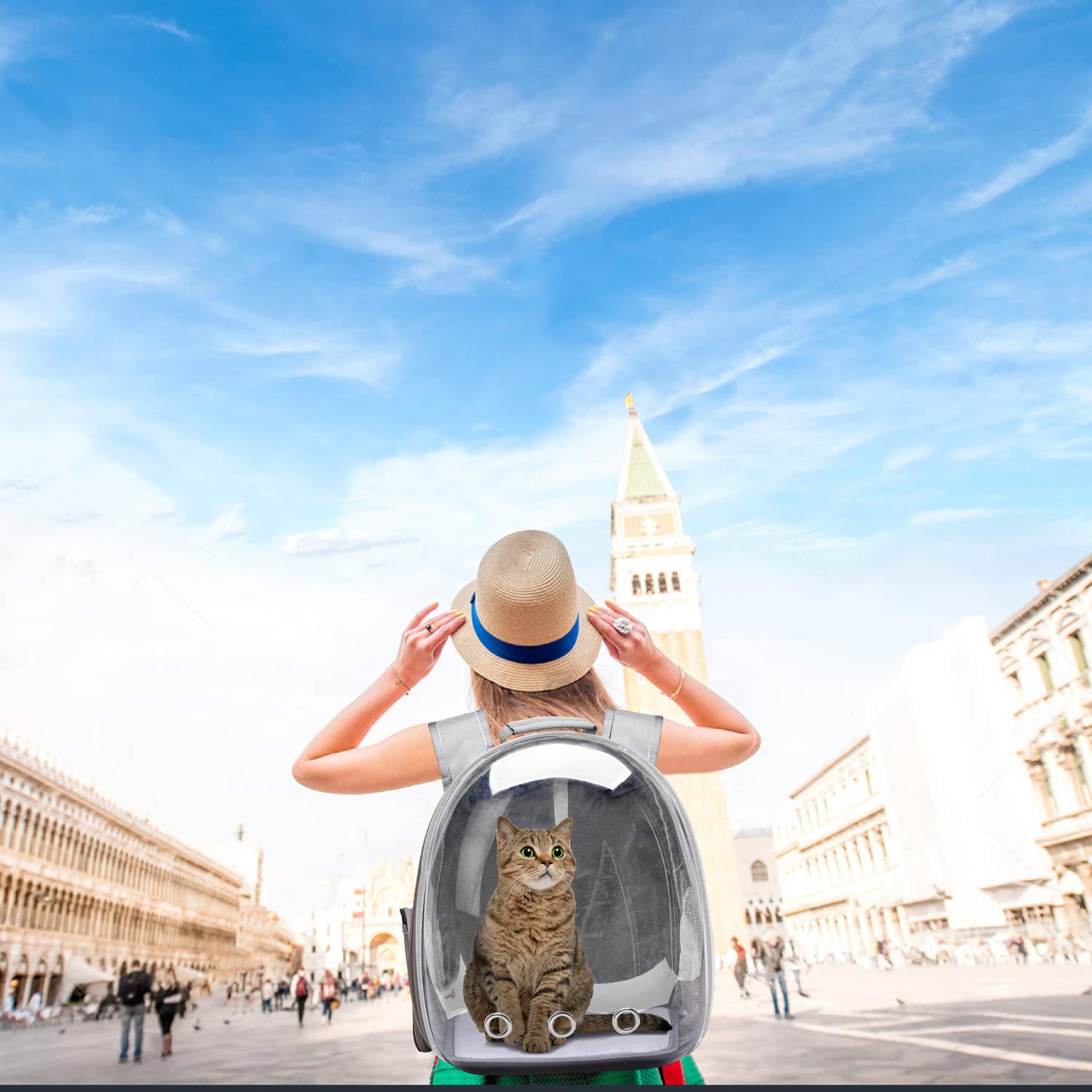 Henkelion bubble carrier airline approved travel companion for small pets