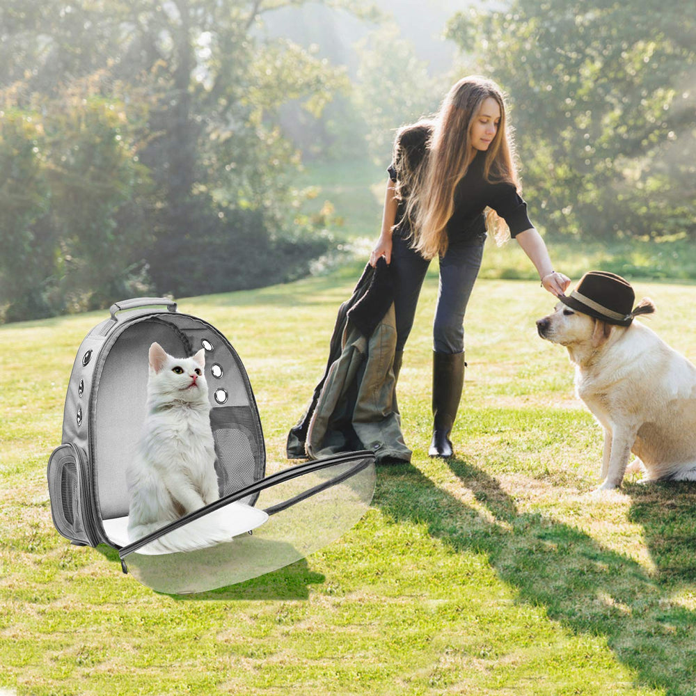 Henkelion bubble carrier spacious interior supports small dogs and cats during outings