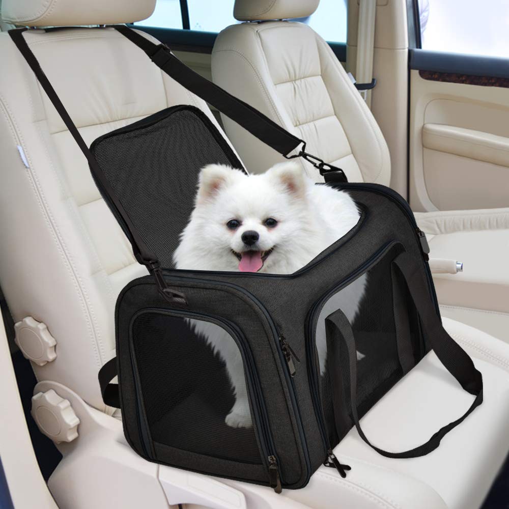 Henkelion carrier shows padded handles for easy lifting and transport