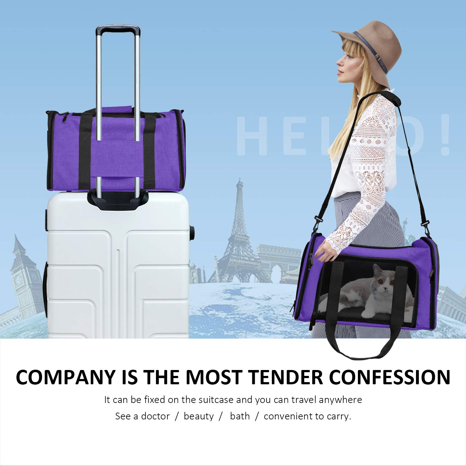 Henkelion dog-carrier purple easy-clean interior for quick post-outing cleanup.