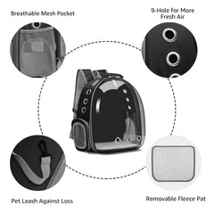 Henkelion front-pack view for hiking, enabling quick pet checks.