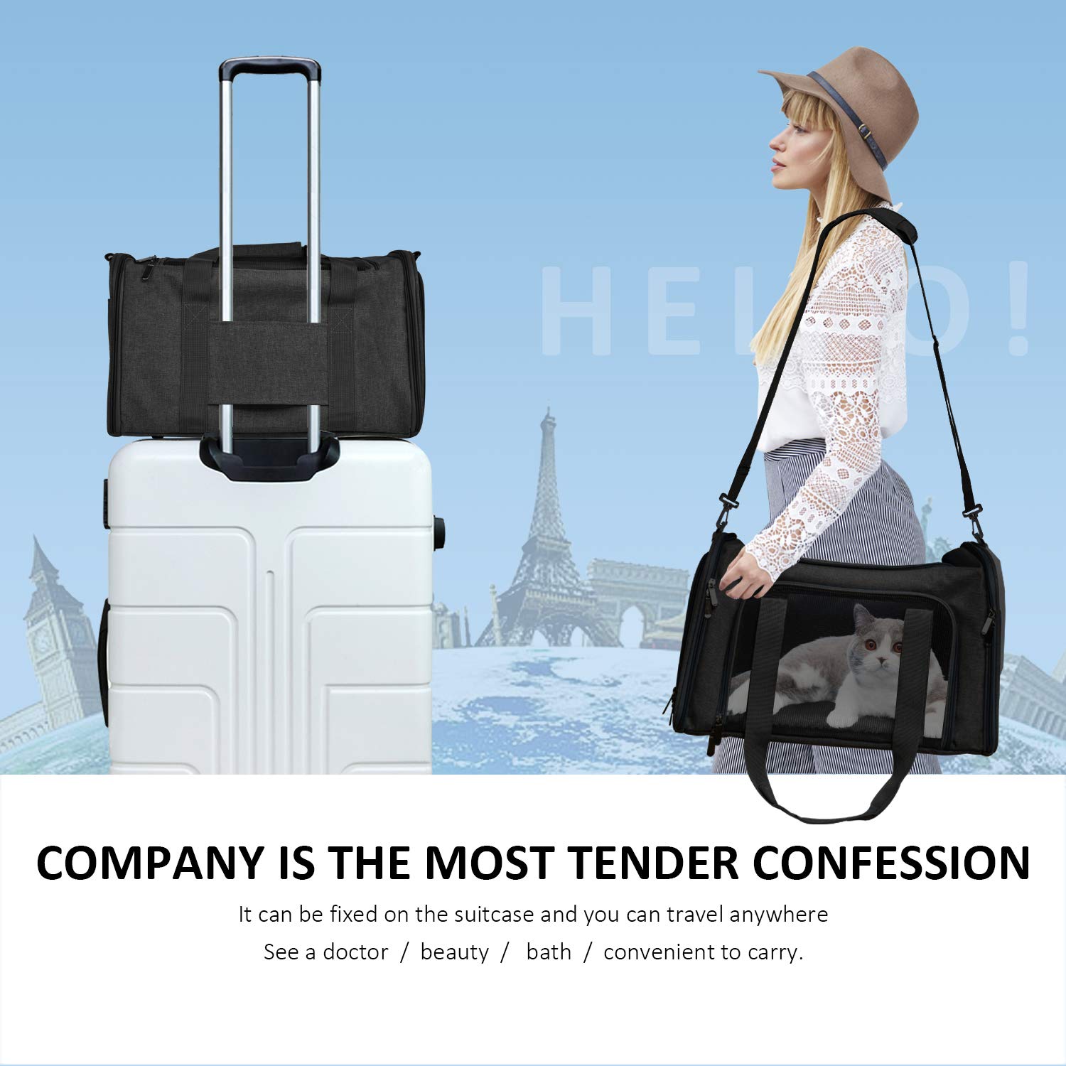 Henkelion large black travel carrier ready for car trips and vet visits