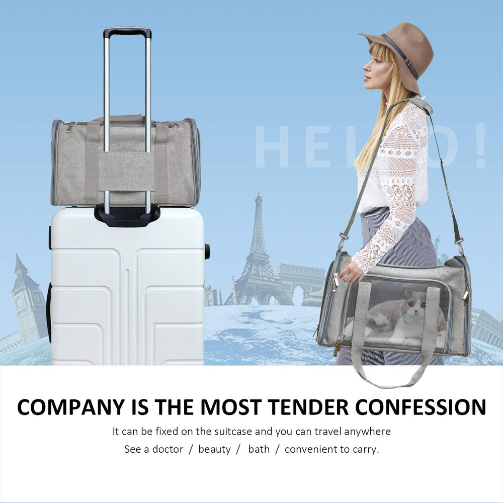 Henkelion large soft-sided pet carrier gray travel-ready for car journeys.