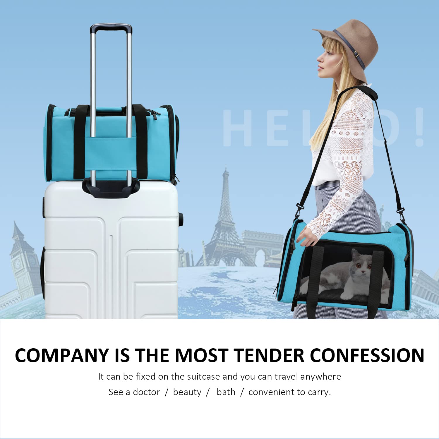 Henkelion carrier in car for comfortable transport