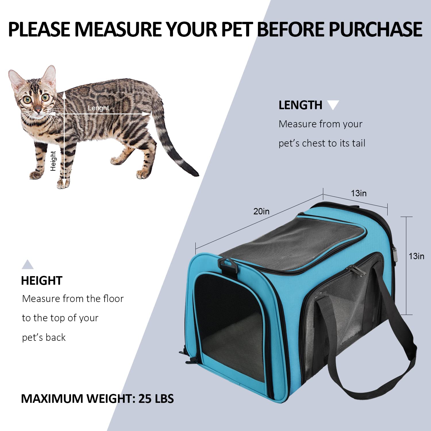 Henkelion large carrier pet inside during vet visits