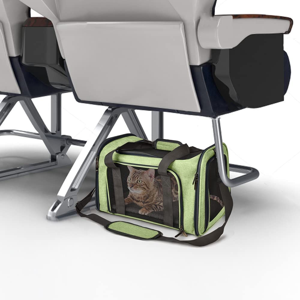 Henkelion pet carrier four-side mesh ventilation for visibility and airflow.