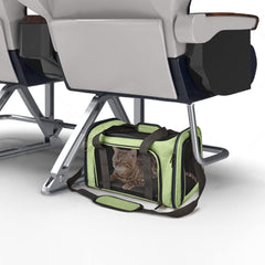 Henkelion pet carrier four-side mesh ventilation for visibility and airflow.